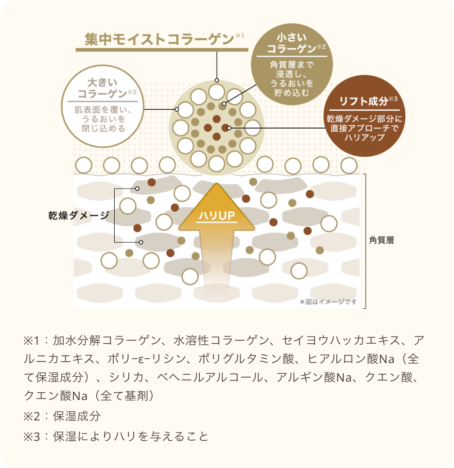集中モイストコラーゲンのイメージ図
